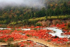 【川西環(huán)線】海螺溝、丹巴四姑娘山米亞羅