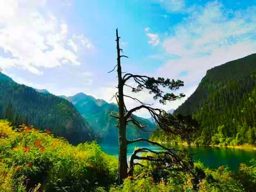 成都到九寨溝黃龍旅游，三天時(shí)間如何按排